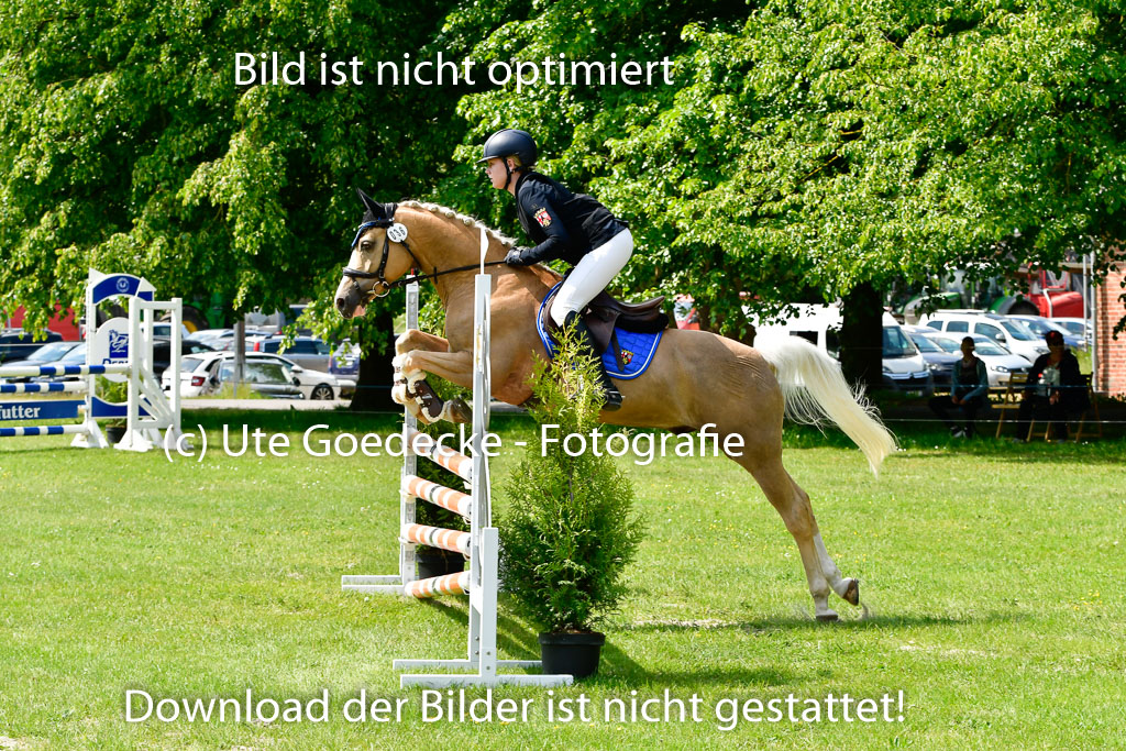 Goldene Schärpe Ponys in Hohen Luckow 1-4.6.23 | 04062023 Laura Scheidtweiler - El Amigo  Mio_27 