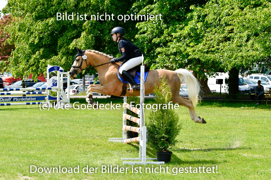 Goldene Schärpe Ponys in Hohen Luckow 1-4.6.23 | 04062023 Laura Scheidtweiler - El Amigo  Mio_28 