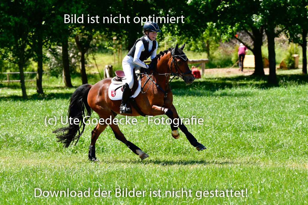 Goldene Schärpe Ponys in Hohen Luckow 1-4.6.23 | 04062023  Lea Brügge - Mamas Liebling _15 