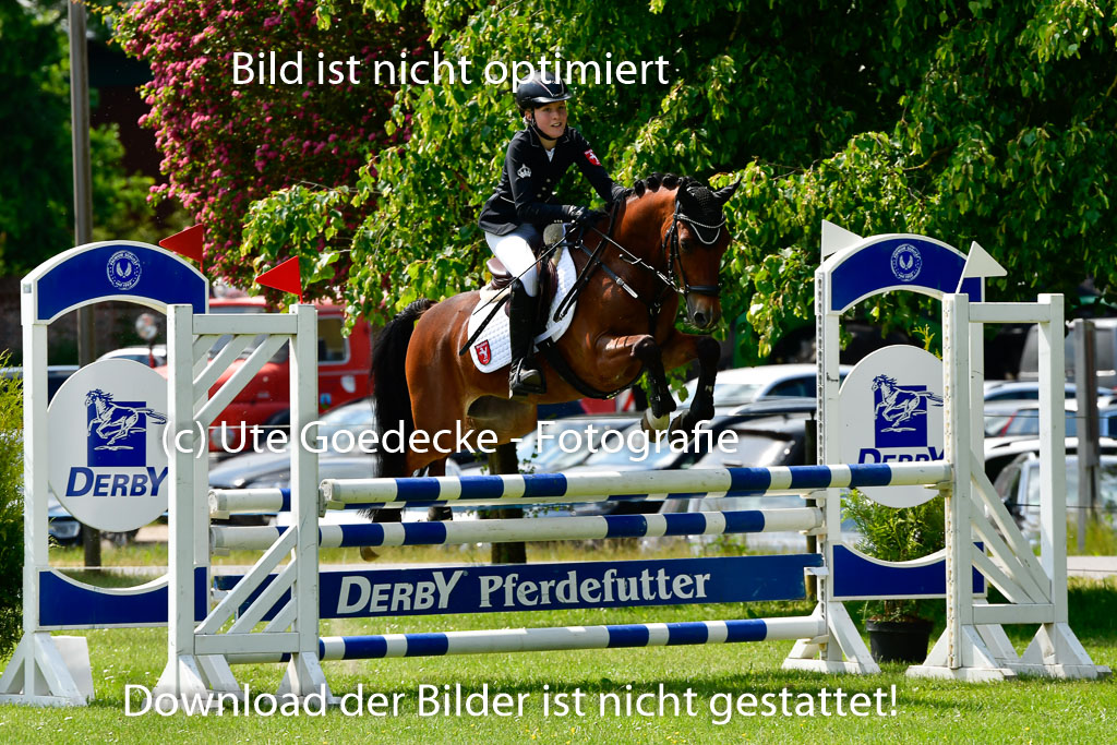 Goldene Schärpe Ponys in Hohen Luckow 1-4.6.23 | 04062023  Lea Brügge - Mamas Liebling _23 