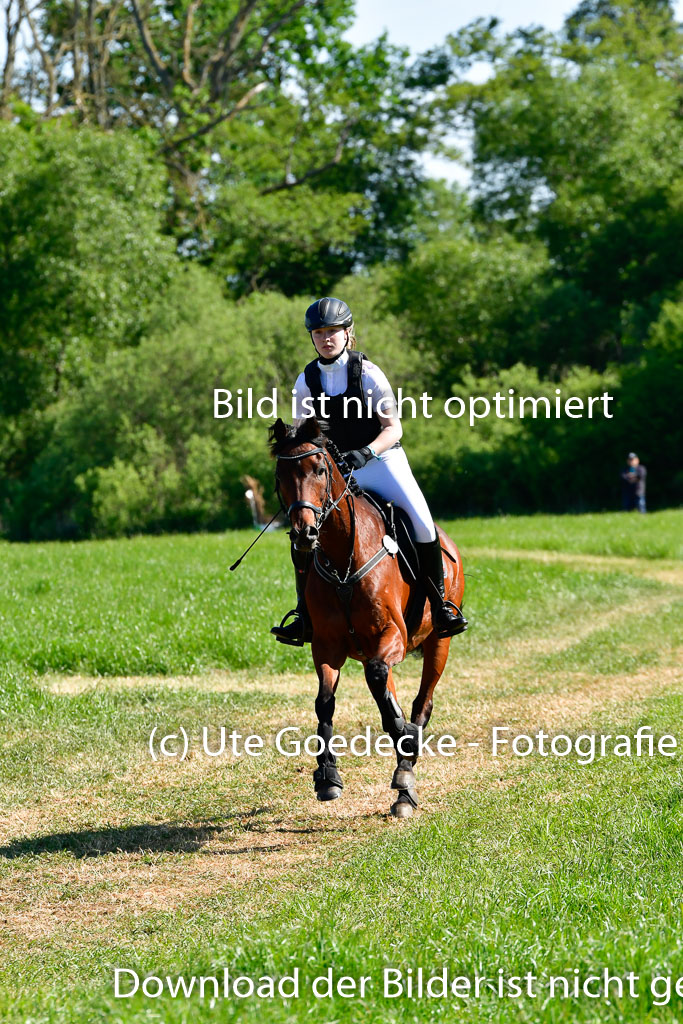 Goldene Schärpe Ponys in Hohen Luckow 1-4.6.23 | 04062023 Lea Elzmann - Kassander