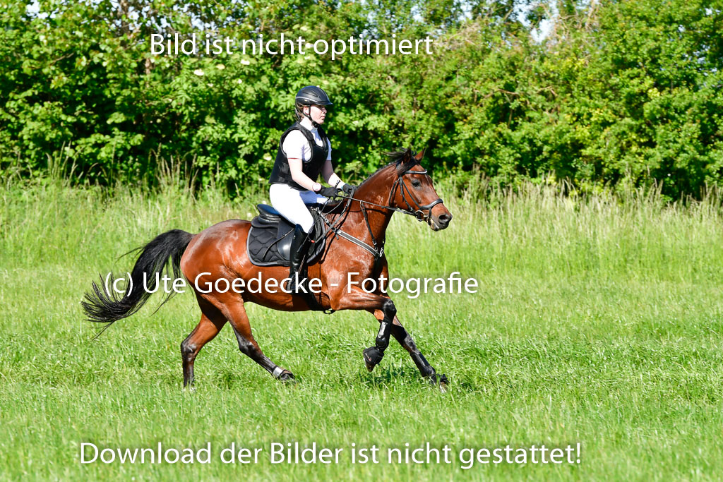 Goldene Schärpe Ponys in Hohen Luckow 1-4.6.23 | 04062023 Lea Elzmann - Kassander_05