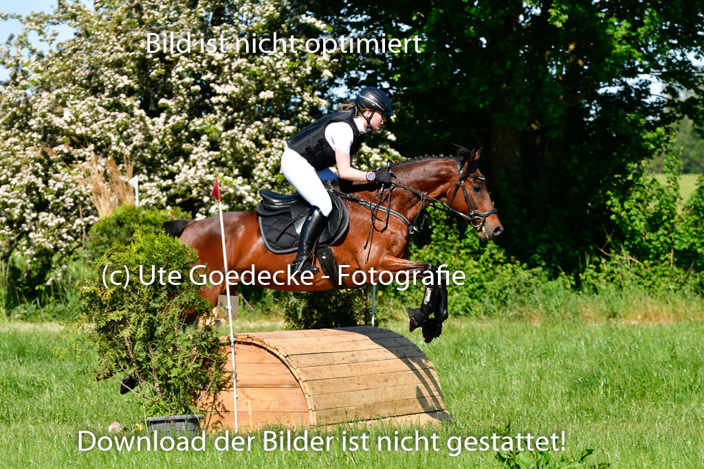 Goldene Schärpe Ponys in Hohen Luckow 1-4.6.23 | 04062023 Lea Elzmann - Kassander_07 