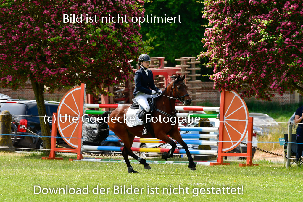 Goldene Schärpe Ponys in Hohen Luckow 1-4.6.23 | 04062023 Lea Elzmann - Kassander_13 