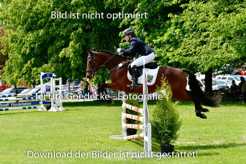 Goldene Schärpe Ponys in Hohen Luckow 1-4.6.23 | 04062023 Lea Elzmann - Kassander_17 