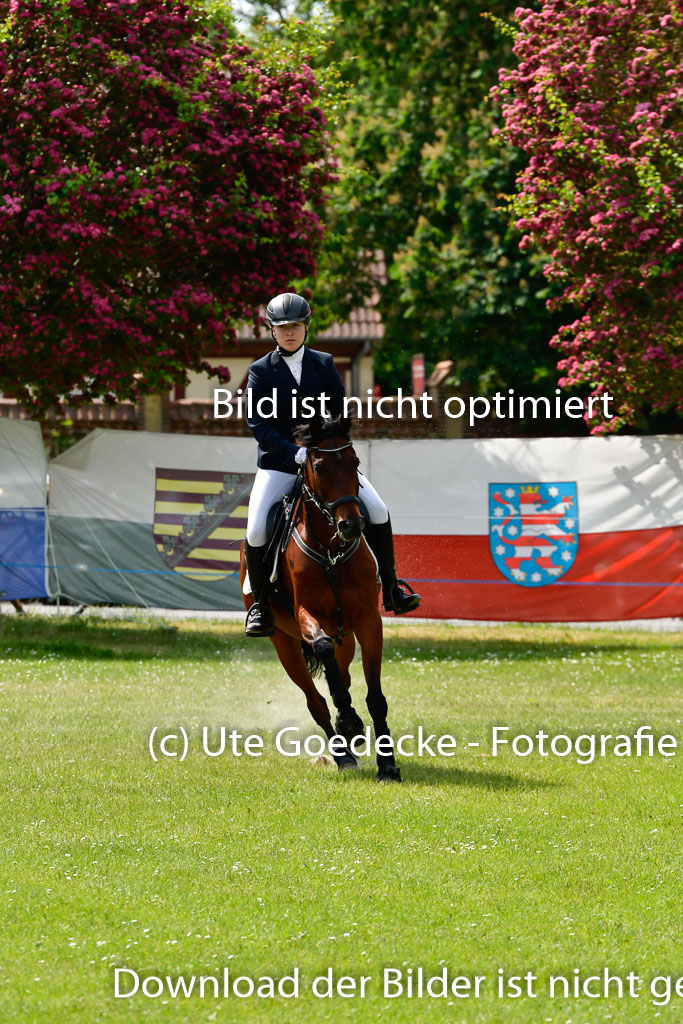 Goldene Schärpe Ponys in Hohen Luckow 1-4.6.23 | 04062023 Lea Elzmann - Kassander_18 