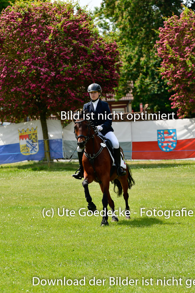 Goldene Schärpe Ponys in Hohen Luckow 1-4.6.23 | 04062023 Lea Elzmann - Kassander_19 