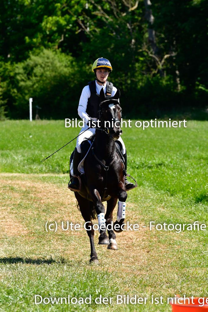 Goldene Schärpe Ponys in Hohen Luckow 1-4.6.23 | 04062023 Leeann Müller - Navis 