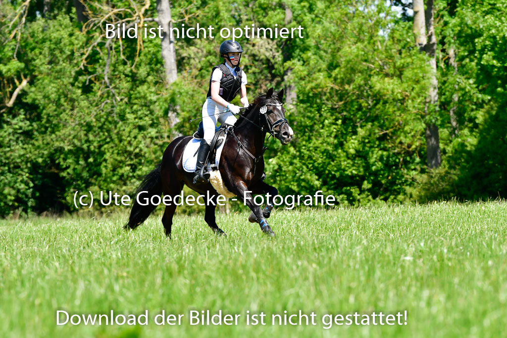 Goldene Schärpe Ponys in Hohen Luckow 1-4.6.23 | 04062023 Lenja Bos - Sulea_07