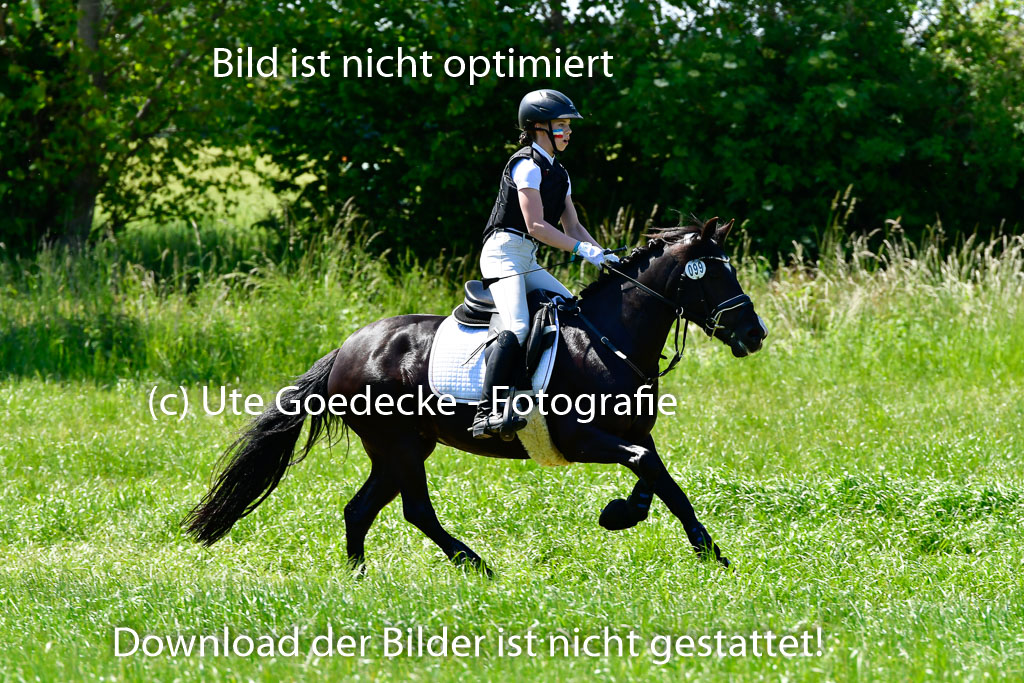 Goldene Schärpe Ponys in Hohen Luckow 1-4.6.23 | 04062023 Lenja Bos - Sulea_12
