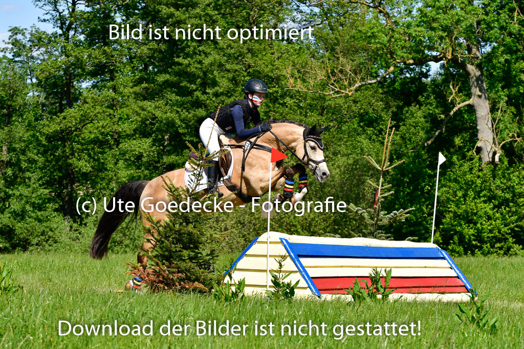 Goldene Schärpe Ponys in Hohen Luckow 1-4.6.23 | 04062023 Leoni Schulz - Coco Dream_05