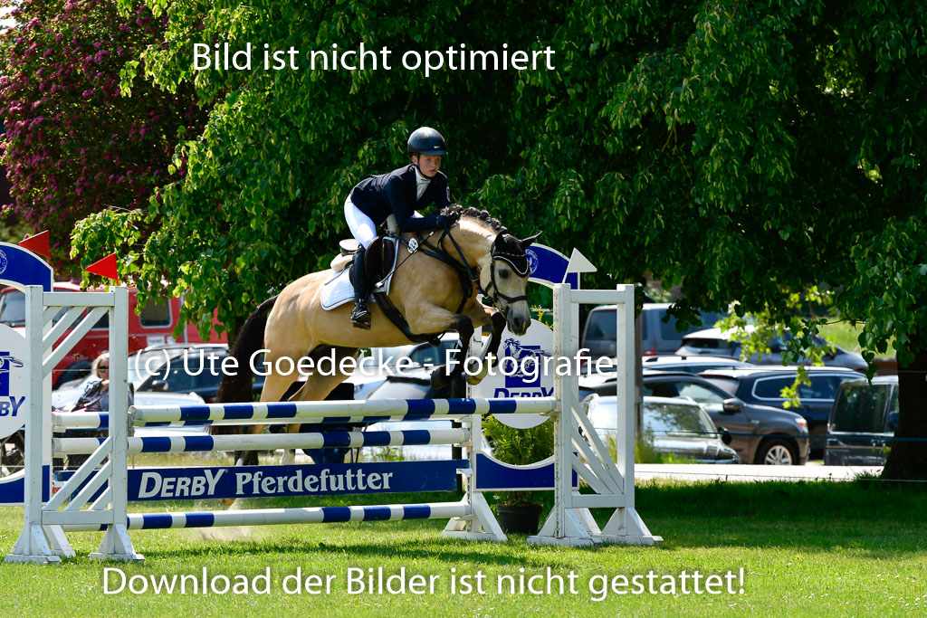 Goldene Schärpe Ponys in Hohen Luckow 1-4.6.23 | 04062023 Leoni Schulz - Coco Dream_18 