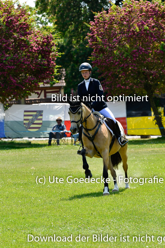 Goldene Schärpe Ponys in Hohen Luckow 1-4.6.23 | 04062023 Leoni Schulz - Coco Dream_22 