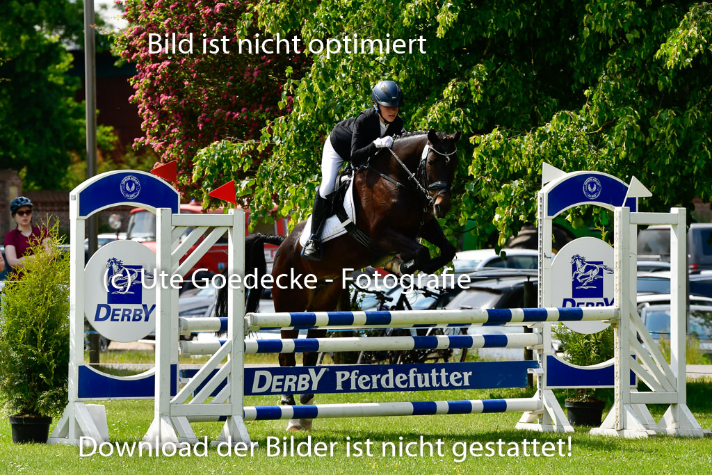 Goldene Schärpe Ponys in Hohen Luckow 1-4.6.23 | 04062023 Lilly C Hagemann - Piroschka_14 