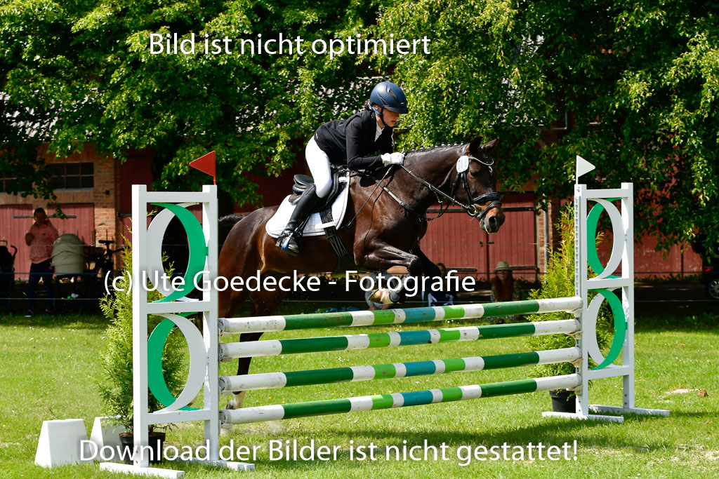 Goldene Schärpe Ponys in Hohen Luckow 1-4.6.23 | 04062023 Lilly C Hagemann - Piroschka_15 