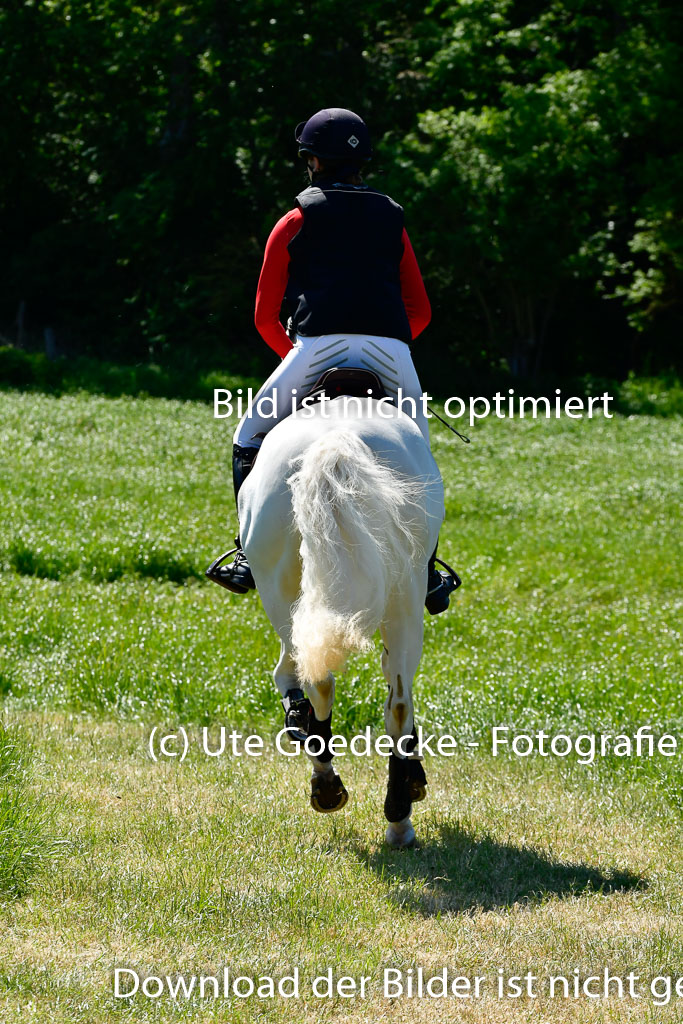 Goldene Schärpe Ponys in Hohen Luckow 1-4.6.23 | 04062023 Lilly Manu Paul - Griffin_03