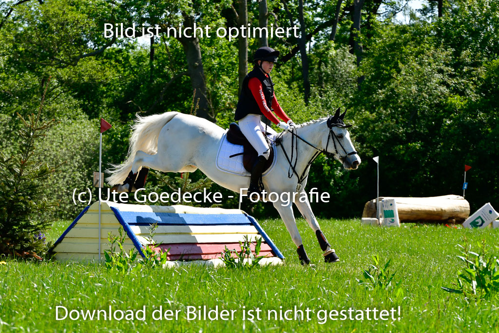 Goldene Schärpe Ponys in Hohen Luckow 1-4.6.23 | 04062023 Lilly Manu Paul - Griffin_08 