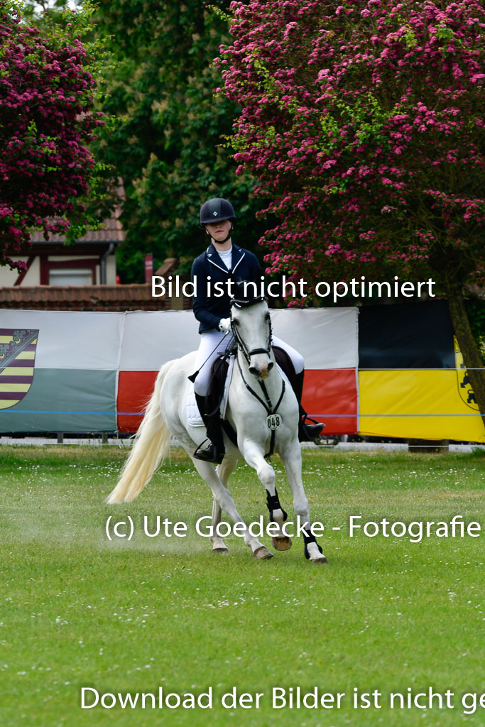 Goldene Schärpe Ponys in Hohen Luckow 1-4.6.23 | 04062023 Lilly Manu Paul - Griffin_21 