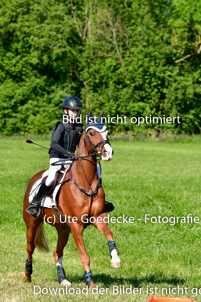 Goldene Schärpe Ponys in Hohen Luckow 1-4.6.23 | 04062023 Linda Noack - Casper - 