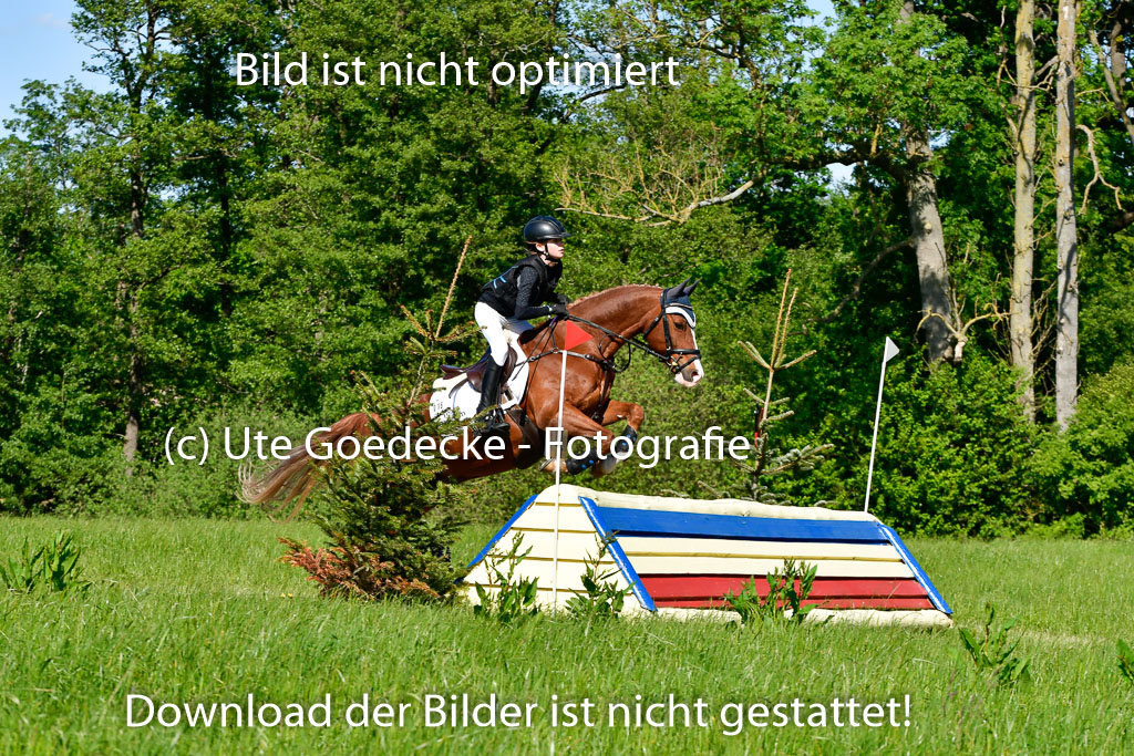 Goldene Schärpe Ponys in Hohen Luckow 1-4.6.23 | 04062023 Linda Noack - Casper -_07 