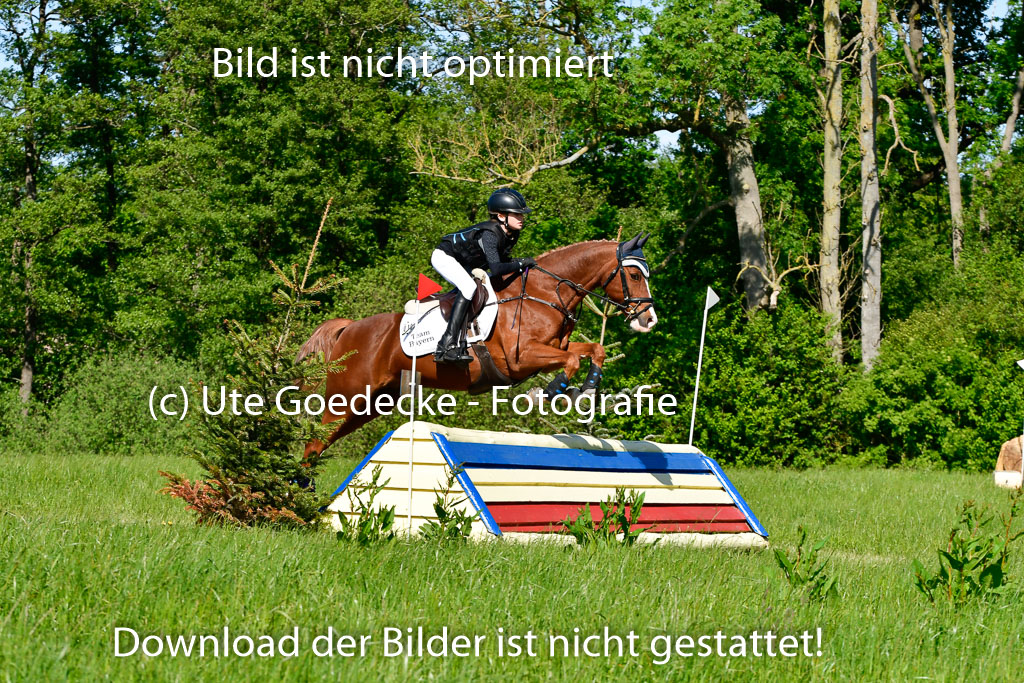 Goldene Schärpe Ponys in Hohen Luckow 1-4.6.23 | 04062023 Linda Noack - Casper -_08 