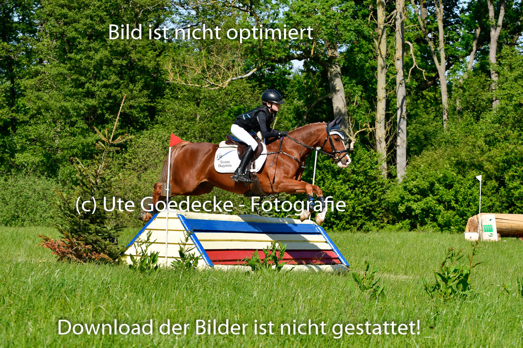 Goldene Schärpe Ponys in Hohen Luckow 1-4.6.23 | 04062023 Linda Noack - Casper -_09 