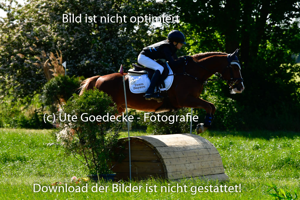 Goldene Schärpe Ponys in Hohen Luckow 1-4.6.23 | 04062023 Linda Noack - Casper -_10 