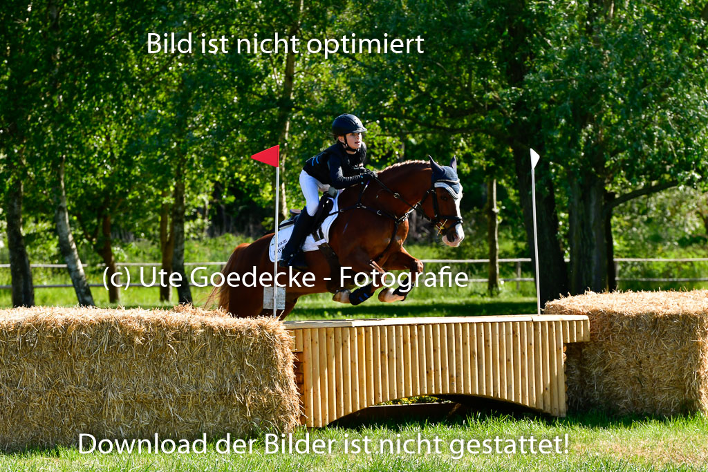 Goldene Schärpe Ponys in Hohen Luckow 1-4.6.23 | 04062023 Linda Noack - Casper -_11 