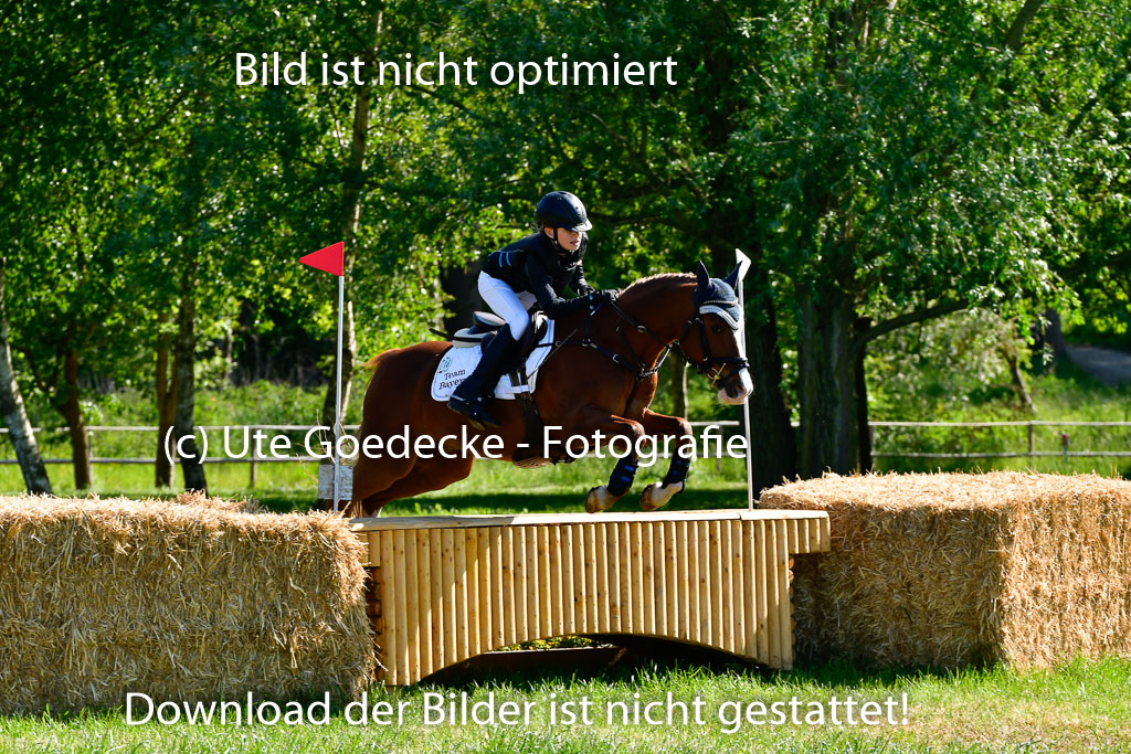 Goldene Schärpe Ponys in Hohen Luckow 1-4.6.23 | 04062023 Linda Noack - Casper -_12 