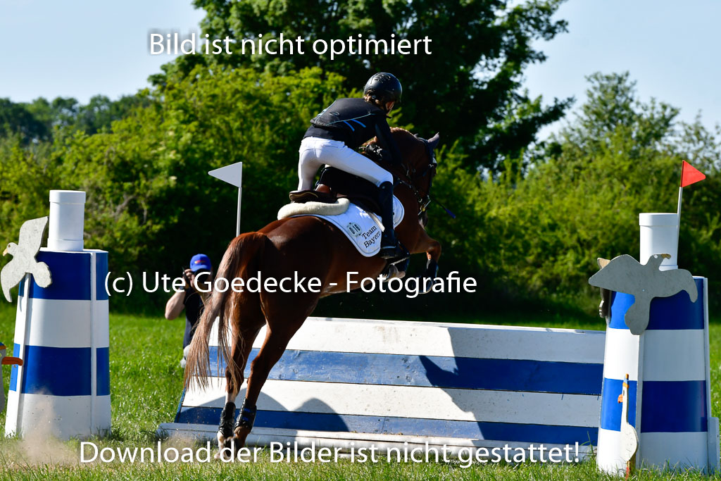 Goldene Schärpe Ponys in Hohen Luckow 1-4.6.23 | 04062023 Linda Noack - Casper -_14 