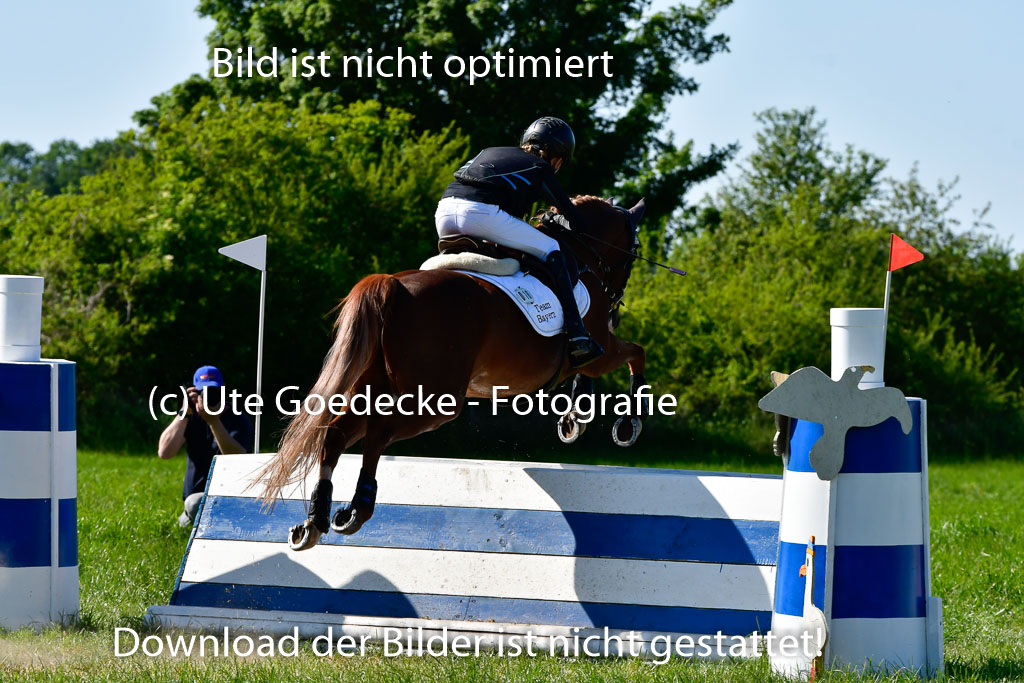 Goldene Schärpe Ponys in Hohen Luckow 1-4.6.23 | 04062023 Linda Noack - Casper -_15 