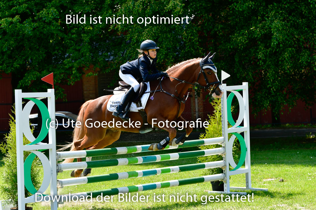 Goldene Schärpe Ponys in Hohen Luckow 1-4.6.23 | 04062023 Linda Noack - Casper -_22 