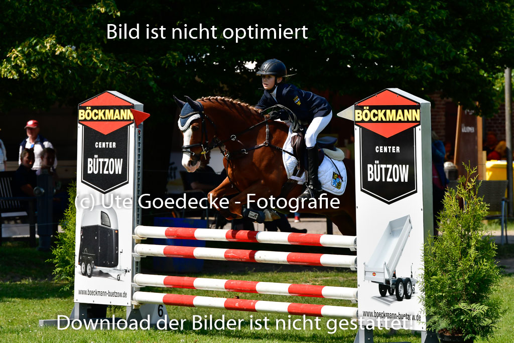 Goldene Schärpe Ponys in Hohen Luckow 1-4.6.23 | 04062023 Linda Noack - Casper -_23
