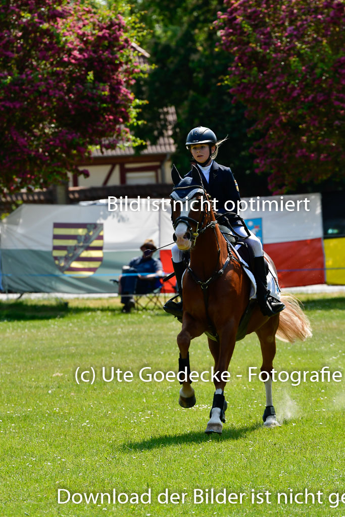 Goldene Schärpe Ponys in Hohen Luckow 1-4.6.23 | 04062023 Linda Noack - Casper -_25 