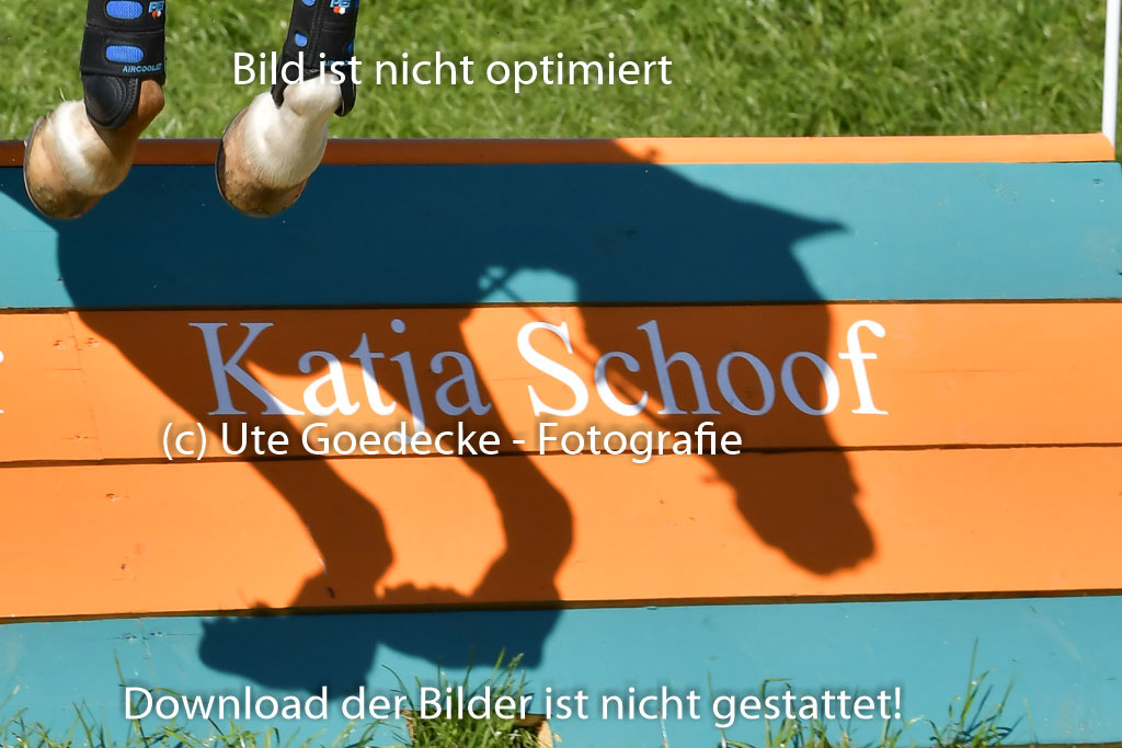 Goldene Schärpe Ponys in Hohen Luckow 1-4.6.23 | 04062023 Linda Noack - Casper -_27 