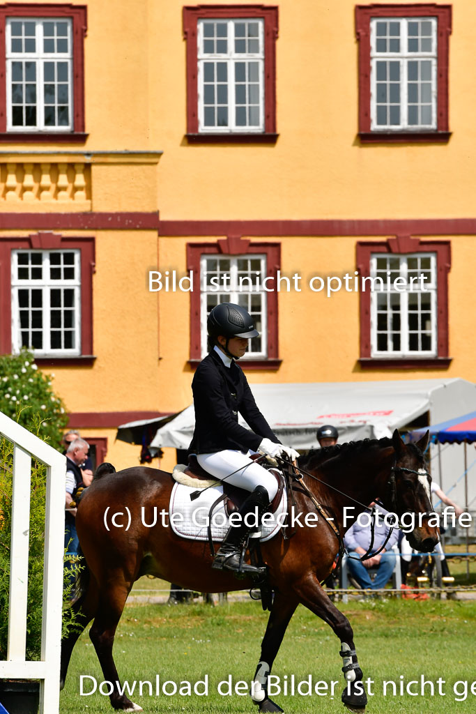 Goldene Schärpe Ponys in Hohen Luckow 1-4.6.23 | 04062023 Lindsay Schietzel - Hardi_4 