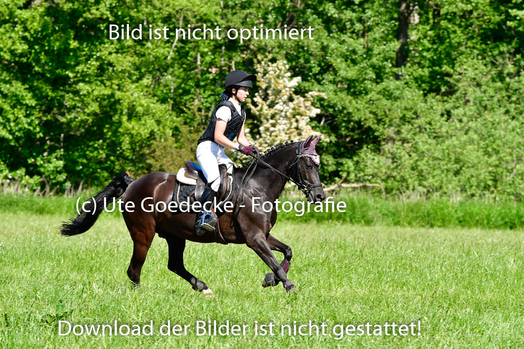 Goldene Schärpe Ponys in Hohen Luckow 1-4.6.23 | 04062023 Linnea Kühne - Little Vaijana_03