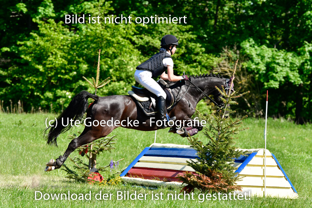 Goldene Schärpe Ponys in Hohen Luckow 1-4.6.23 | 04062023 Linnea Kühne - Little Vaijana_04