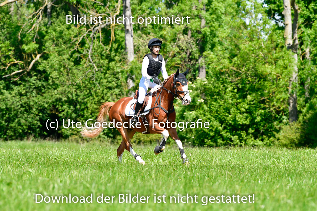 Goldene Schärpe Ponys in Hohen Luckow 1-4.6.23 | 04062023 Lola Stranzenbach - Valon_04 