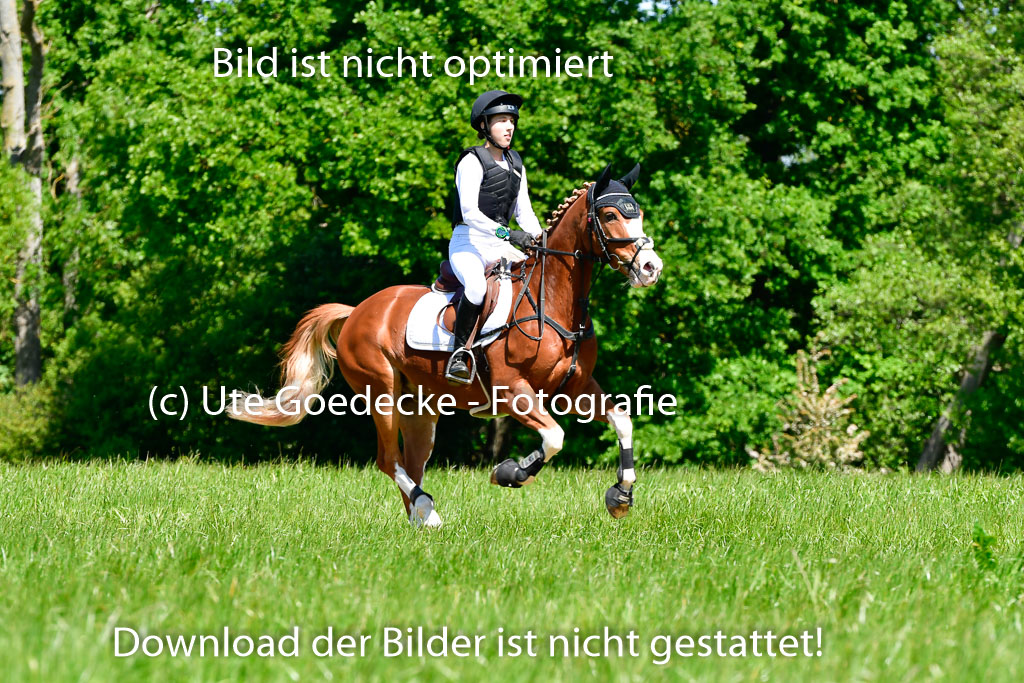 Goldene Schärpe Ponys in Hohen Luckow 1-4.6.23 | 04062023 Lola Stranzenbach - Valon_05 