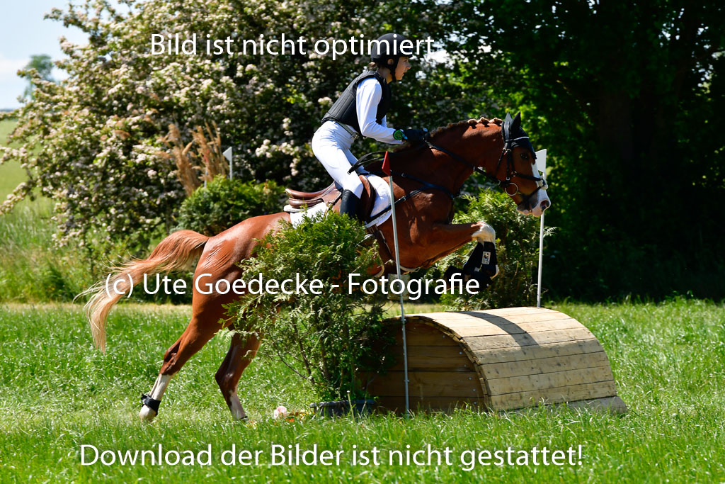 Goldene Schärpe Ponys in Hohen Luckow 1-4.6.23 | 04062023 Lola Stranzenbach - Valon_09 