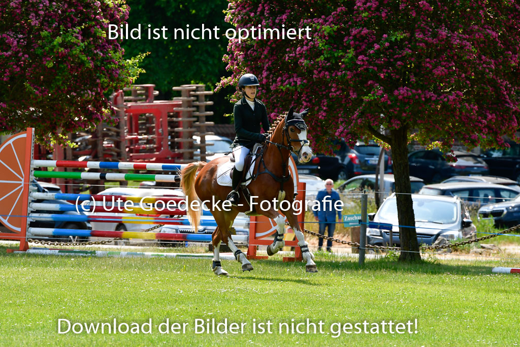 Goldene Schärpe Ponys in Hohen Luckow 1-4.6.23 | 04062023 Lola Stranzenbach - Valon_24 