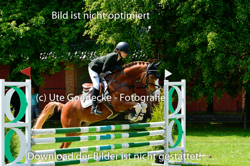 Goldene Schärpe Ponys in Hohen Luckow 1-4.6.23 | 04062023 Lola Stranzenbach - Valon_26 