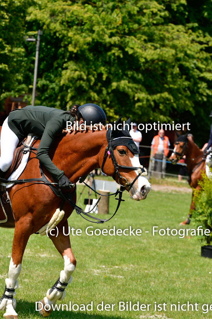 Goldene Schärpe Ponys in Hohen Luckow 1-4.6.23 | 04062023 Lola Stranzenbach - Valon_35 