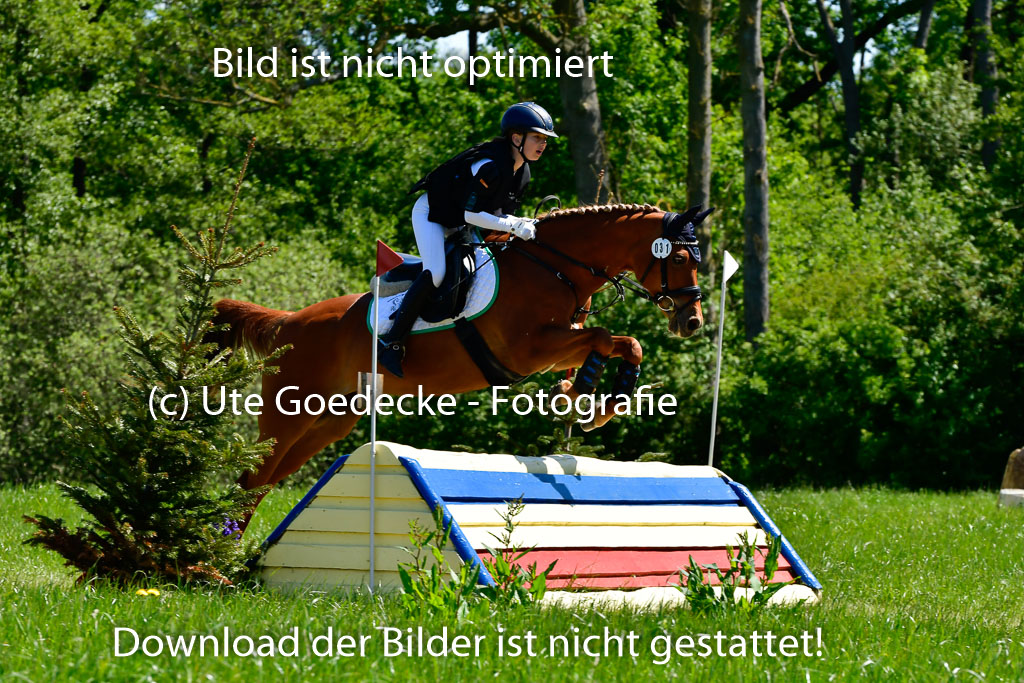 Goldene Schärpe Ponys in Hohen Luckow 1-4.6.23 | 04062023 Lotta Hohmann - Devils Joy_06 