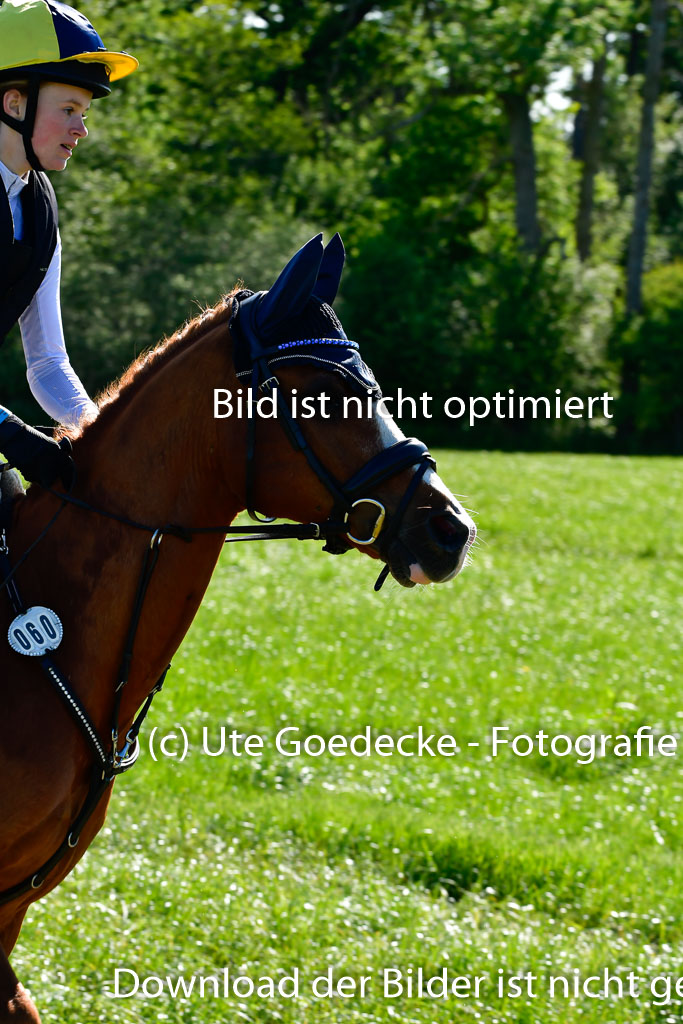 Goldene Schärpe Ponys in Hohen Luckow 1-4.6.23 | 04062023 Lucia Heidtmann - Little Foxy_02 