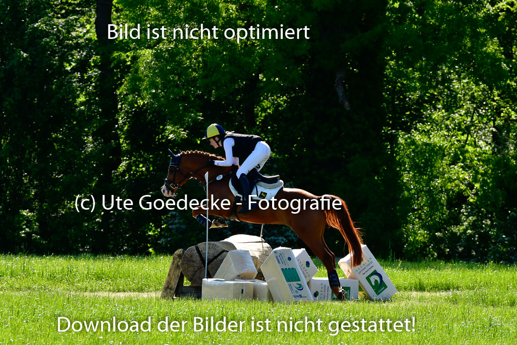 Goldene Schärpe Ponys in Hohen Luckow 1-4.6.23 | 04062023 Lucia Heidtmann - Little Foxy_05 