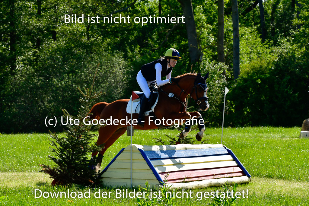 Goldene Schärpe Ponys in Hohen Luckow 1-4.6.23 | 04062023 Lucia Heidtmann - Little Foxy_07 