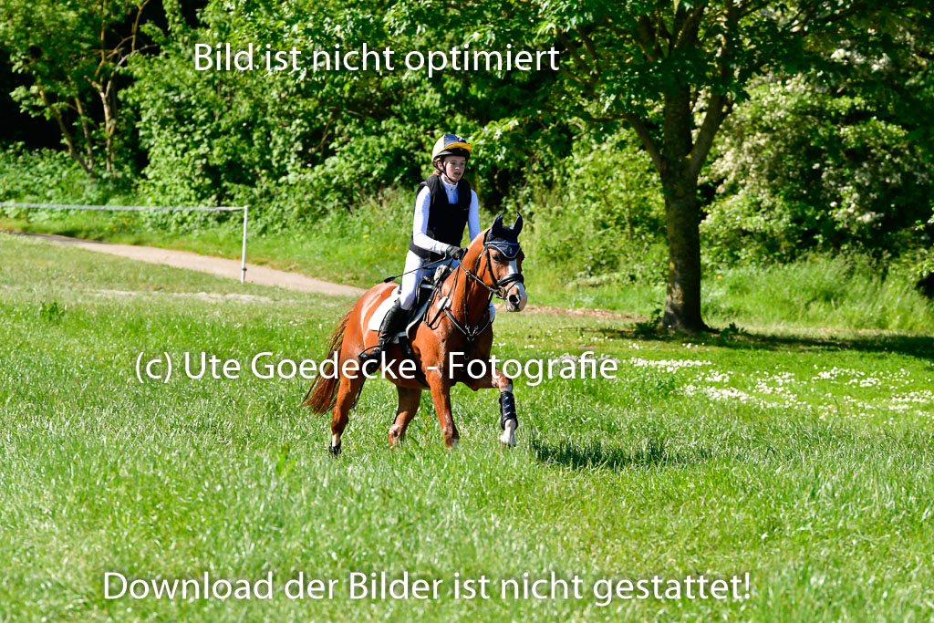 Goldene Schärpe Ponys in Hohen Luckow 1-4.6.23 | 04062023 Lucia Heidtmann - Little Foxy_09 