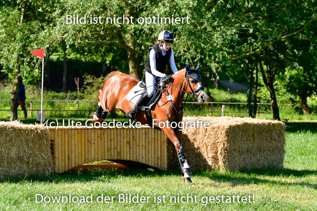 Goldene Schärpe Ponys in Hohen Luckow 1-4.6.23 | 04062023 Lucia Heidtmann - Little Foxy_11